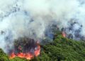 Indonesia Kembangkan Teknologi Satelit Pemantau Hotspot Karhutla