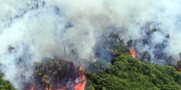 Indonesia Kembangkan Teknologi Satelit Pemantau Hotspot Karhutla