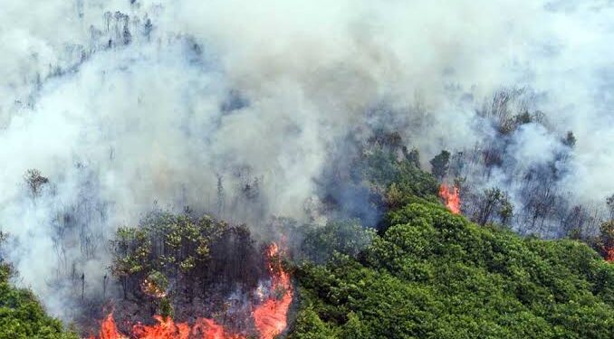 Indonesia Kembangkan Teknologi Satelit Pemantau Hotspot Karhutla