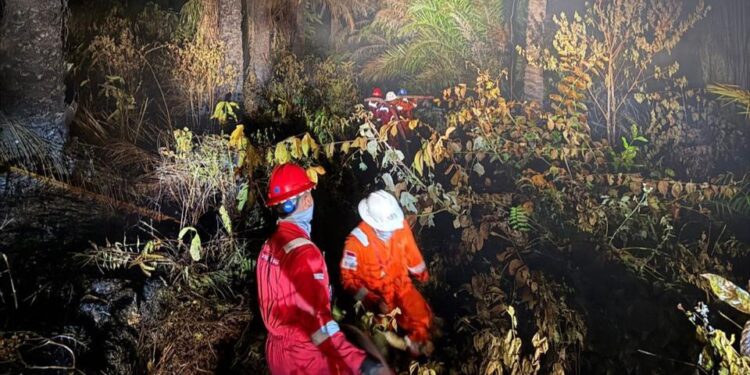 Apresiasi Kepala SKK Migas atas Perjuangan Pemadam Api Karhutla Hulu Migas
