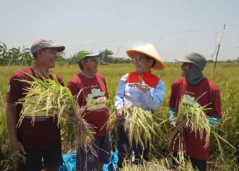 Pengembangan Desa Pertagas Diapresiasi Kementerian Desa