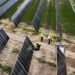 Menguji Komitmen Pemerintah dalam Mengimplementasikan Energi Bersih