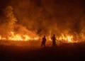 Cegah Kebakaran Gambut, BRIN Kembangkan Sistem Monitoring Air Tanah