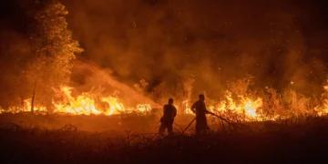 Cegah Kebakaran Gambut, BRIN Kembangkan Sistem Monitoring Air Tanah