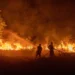 Cegah Kebakaran Gambut, BRIN Kembangkan Sistem Monitoring Air Tanah