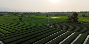 Dari Rahim Pesantren, Hembusan Angin Bisa Menjadi Asisten Petani