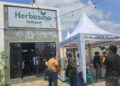 Energi Dibalik Bisnis Daun Kelor