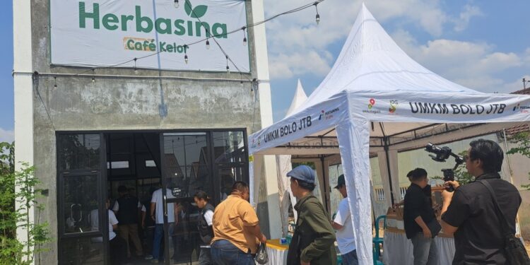 Energi Dibalik Bisnis Daun Kelor