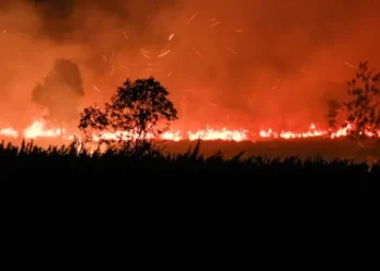 Muhammadiyah Menggugat Karhutla yang Terjadi Setiap Tahun. Pemerintah Pusat  Lari dari Tanggungjawab?