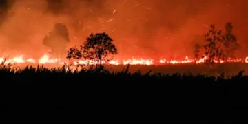 Muhammadiyah Menggugat Karhutla yang Terjadi Setiap Tahun. Pemerintah Pusat  Lari dari Tanggungjawab?