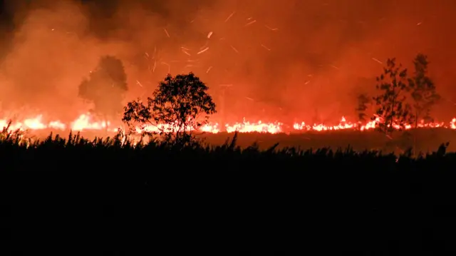 Muhammadiyah Menggugat Karhutla yang Terjadi Setiap Tahun. Pemerintah Pusat Lari dari Tanggungjawab?