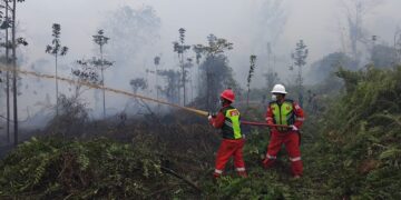 PetroChina Perkuat Upaya Pemadaman Karhutla di HLG Londerang, Jambi
