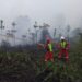 PetroChina Perkuat Upaya Pemadaman Karhutla di HLG Londerang, Jambi