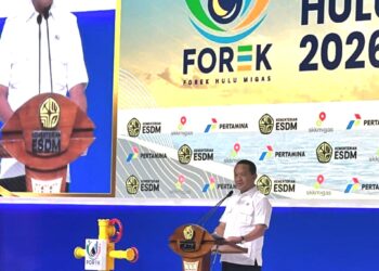 Dibeberkan! Rahasia Memperkuat Daya Saing Investasi Hulu Migas