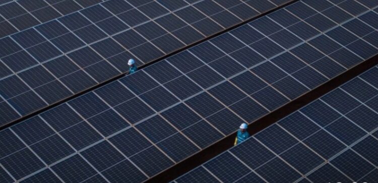 Turunkan Konsumsi Energi 59 Persen, ANTAM Dorong Pemanfaatan Energi Terbarukan di Wilayah Operasi