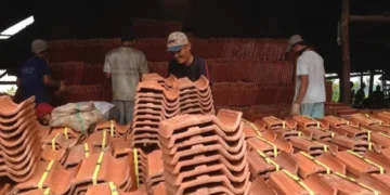 Revitalisasi Program Dana Desa, MBG, dan Gentengisasi